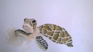 Painting of a sea turtle