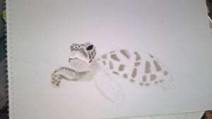 sea turtle painting